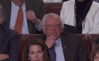 Bernie Sanders Zoom GIF by moodman