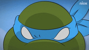ninja turtles GIF by Teenage Mutant Ninja Turtles