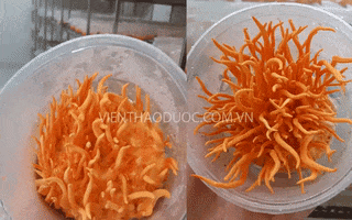 Viện Nghiên Cứu Thảo Dược Việt Nam GIF