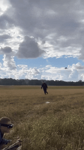 Remis GIF