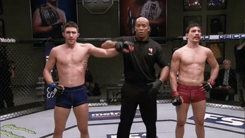 fighter win GIF by UFC