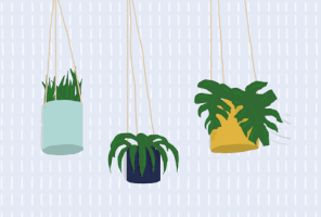 Hang In There Plants GIF