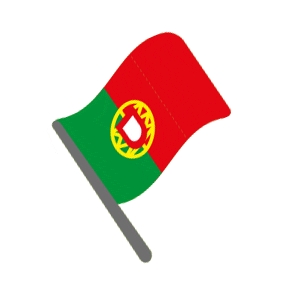 Soccer Flag Sticker by Häagen Dazs FR