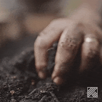 Garten Gifs Get The Best Gif On Giphy