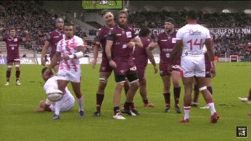 hall of fame respect GIF by UBB Rugby