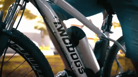 bike eltrica GIF by Two Dogs