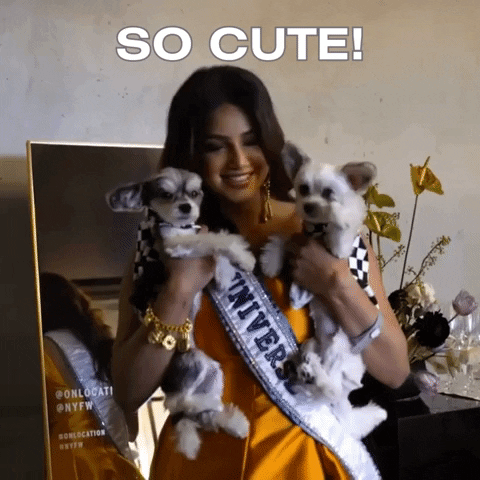 Miss Universe Dogs GIF
