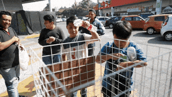 Animated GIF
