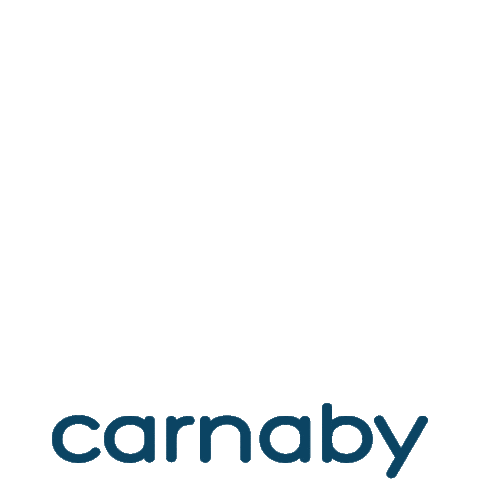 Twiggy Dollcollector Sticker by London Fashion Doll Festival