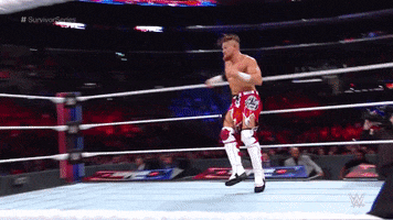 flying survivor series GIF by WWE