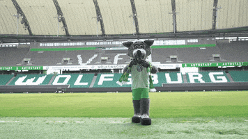 lionel messi love GIF by VfL Wolfsburg