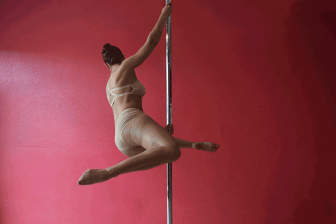 easy pole dance moves for beginners