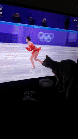 giphy.gif?cid=3640f6095c78add572445162734e98e3