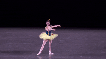 stars and stripes dance GIF by New York City Ballet