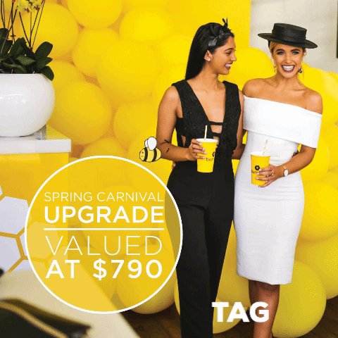 GIF by Pink Tank Events