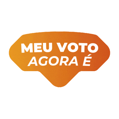 Vereador João Donizeti Sticker