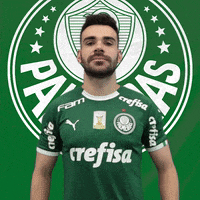 Cuidado bruno henrique GIF by SE Palmeiras
