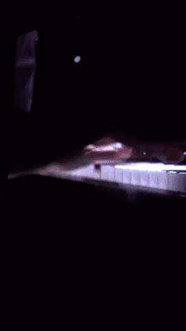 8K Nhk GIF