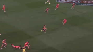 afl gallucci GIF by Adelaide Crows