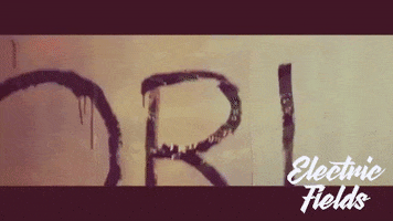 Noel Gallagher Ef18 GIF by Electric Fields Festival