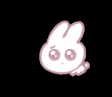Rabbit GIF