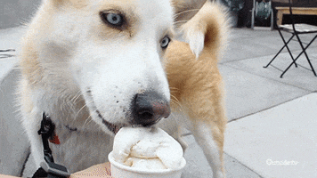 ice cream love GIF by Outside TV