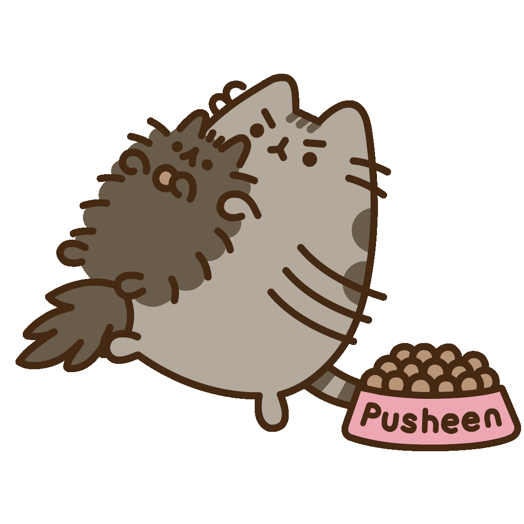 pusheen cat pip