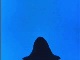 Cut Out Stop Motion GIF