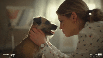 puppy love dog GIF by Acorn TV