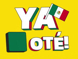 Voting Election Day GIF by Ishmael Arias Pinto