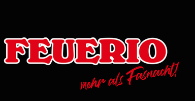 Mannheim Feuerio GIF