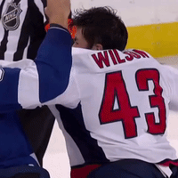 stanley cup fight GIF