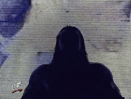 Triple H Wrestling GIF by WWE