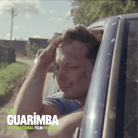 Car Driving GIF by La Guarimba Film Festival