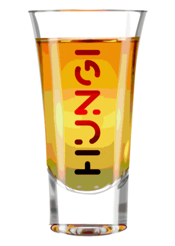 Hungividago Sticker by Hungi Szeged