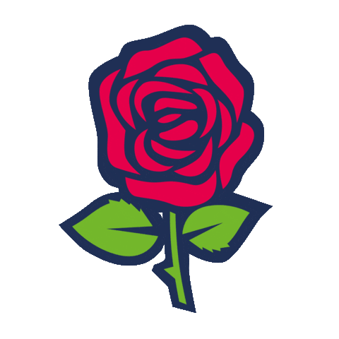 Rose Singing Sticker by Gaffel Kölsch