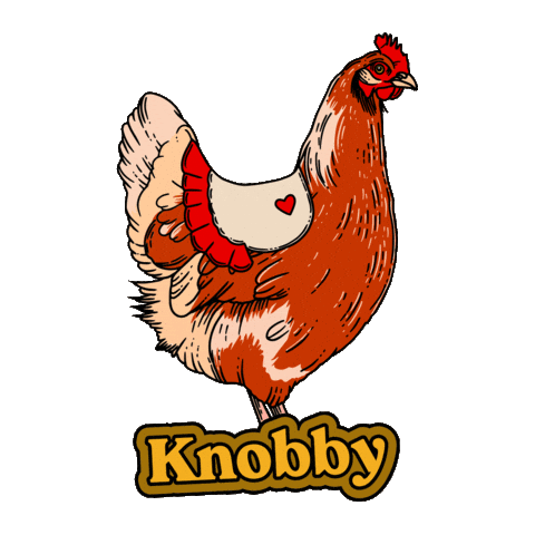 Chicken Boom Sticker by Knobby