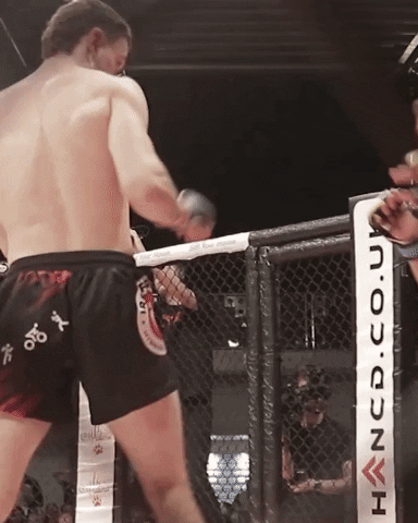 Knockout Mma GIF by Caged Steel