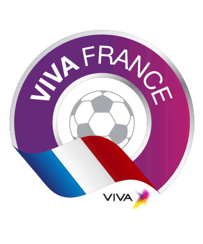 France Football Sticker by VIVA Bahrain