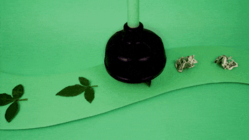stop motion animation GIF by Phyllis Ma