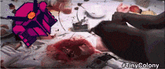 Tiny Colony GIF