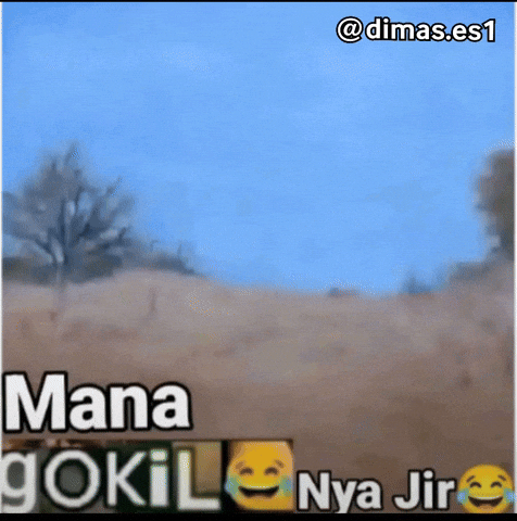 Singa GIF