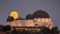 Blue Moon Rising Behind Griffith Park