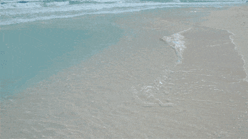 the beach GIF