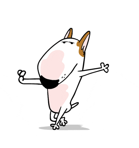 Looking Bull Terrier GIF by Jimmy the Bull