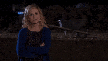 Amy Poehler Reaction GIF by moodman