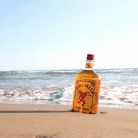 spring break whiskey GIF by Fireball Whisky