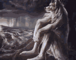 Omerkolik GIF