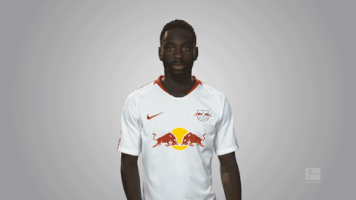 rb leipzig GIF by Bundesliga