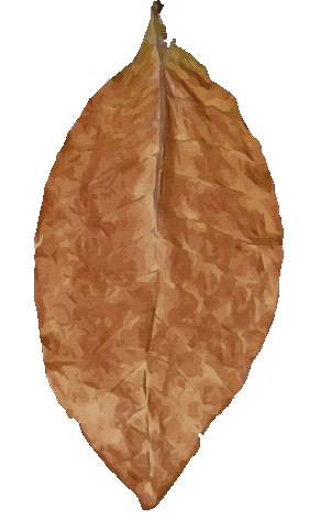 Sticker by Route7Cigars